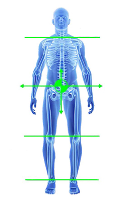 After image showing skeleton with straight posture